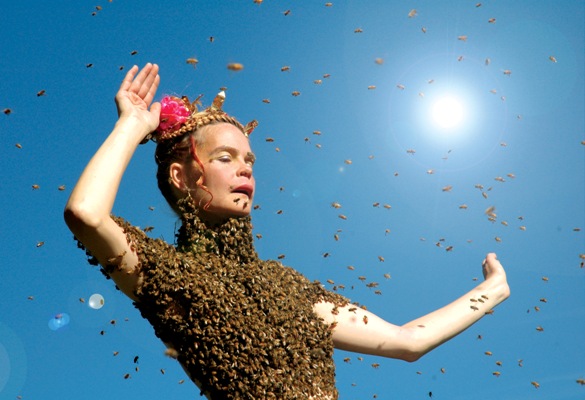 Stills from Queen of the Sun, What are the bees telling us?